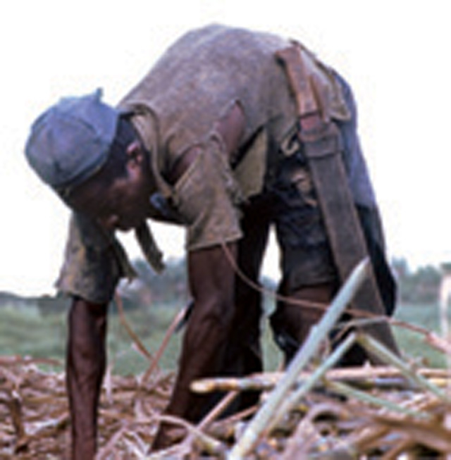 This Haitian sugarcane worker in the Dominican Republic is one of millions of people in our world who struggle to share in the fruits of their labour and to live with dignity.