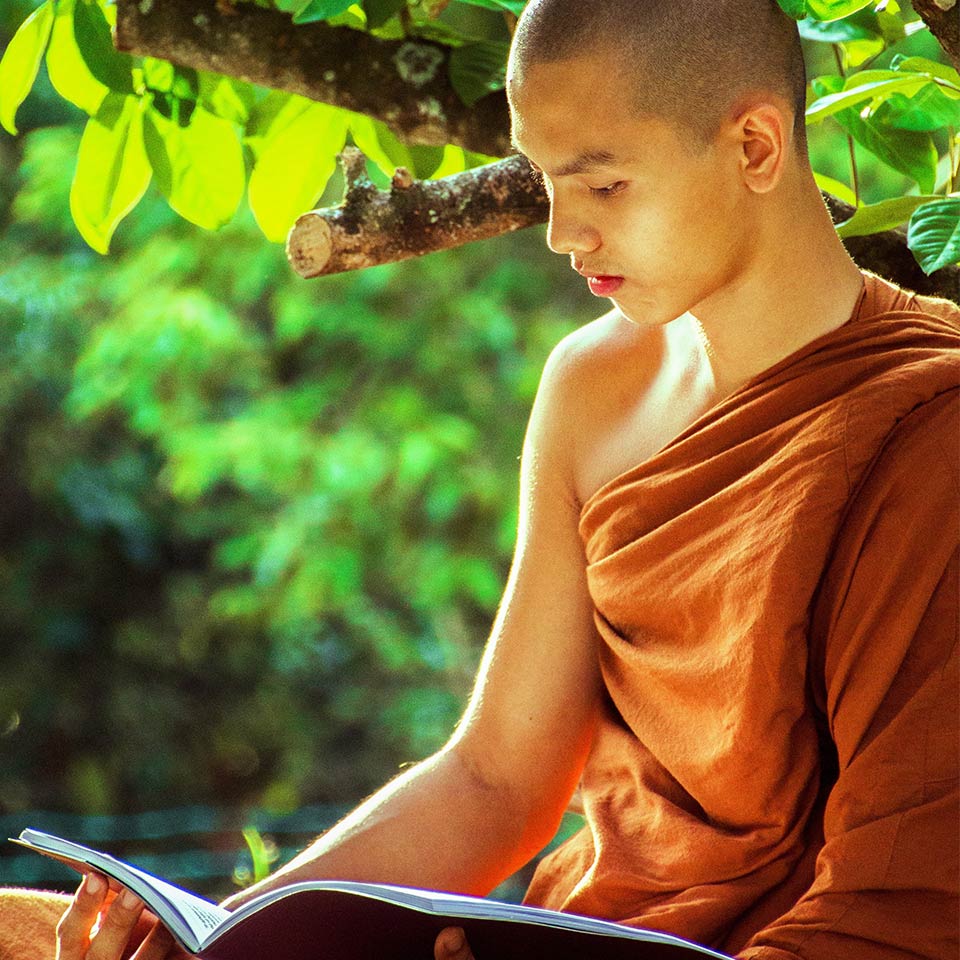 bhikkhu book boy